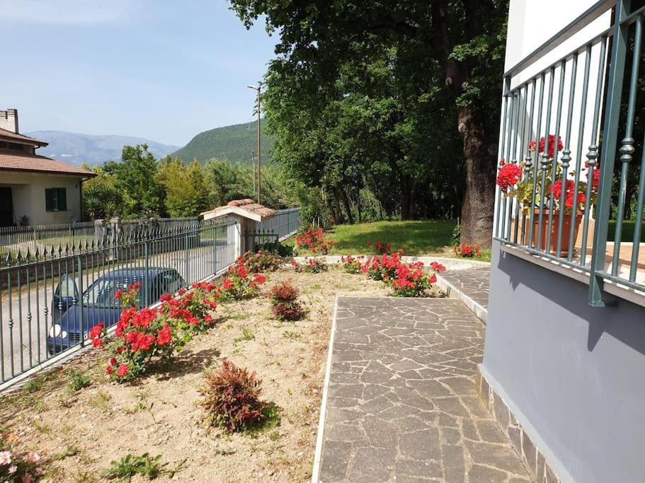 Nonna Giusy Villa Sant'Ambrogio sul Garigliano Exterior photo