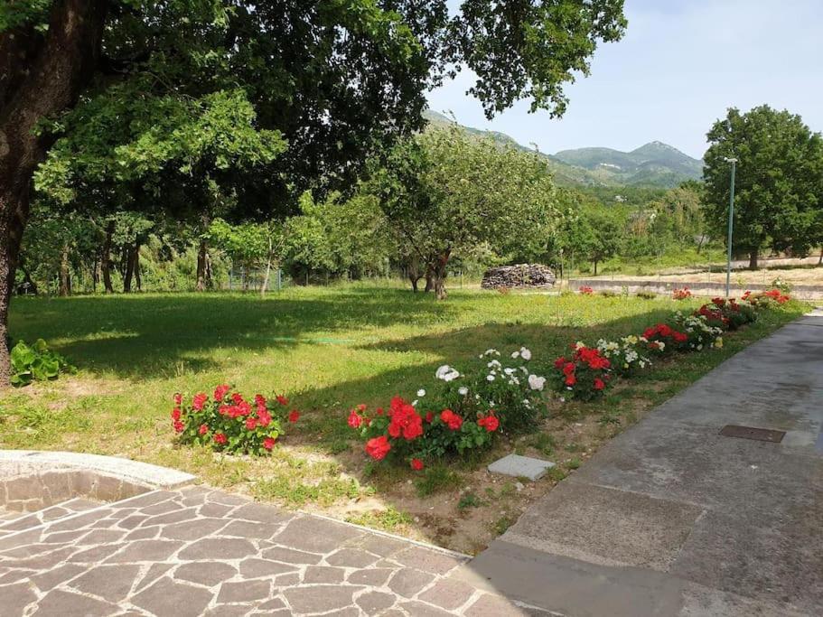 Nonna Giusy Villa Sant'Ambrogio sul Garigliano Exterior photo