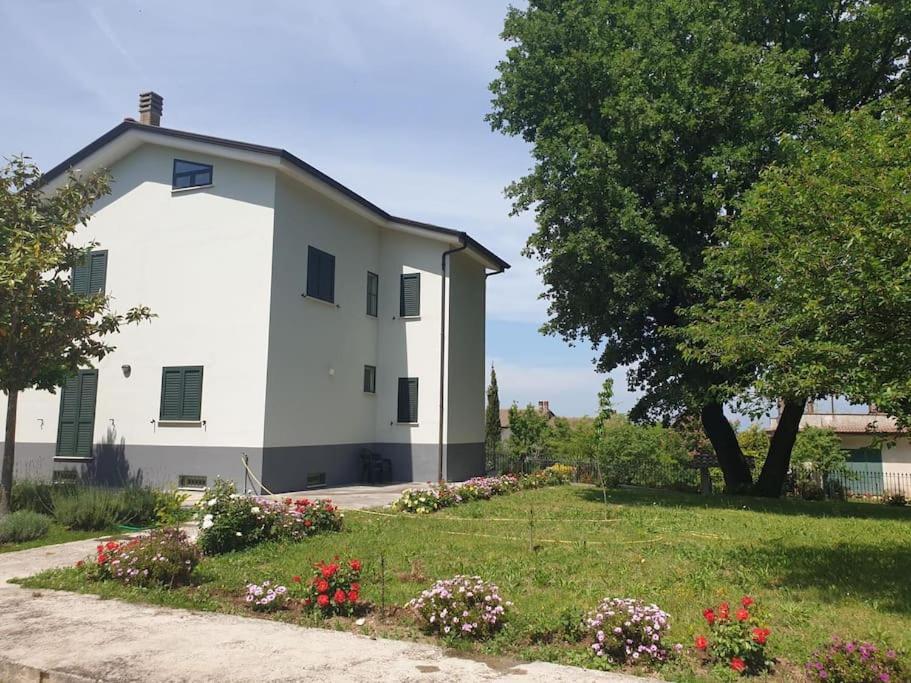 Nonna Giusy Villa Sant'Ambrogio sul Garigliano Exterior photo