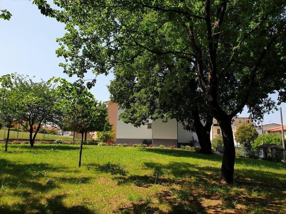 Nonna Giusy Villa Sant'Ambrogio sul Garigliano Exterior photo